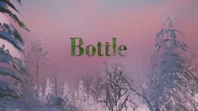 Bottle cover