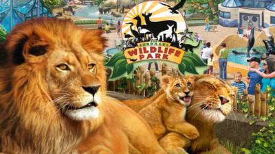 Wildlife Park Collection cover