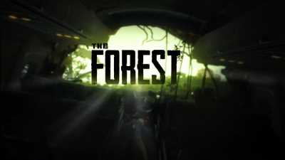 The Forest cover