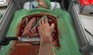 Screenshot thumb 4 of Surgeon Simulator