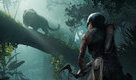Screenshot thumb 5 of Shadow of the Tomb Raider