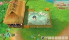 Screenshot thumb 1 of STORY OF SEASONS: Friends of Mineral Town